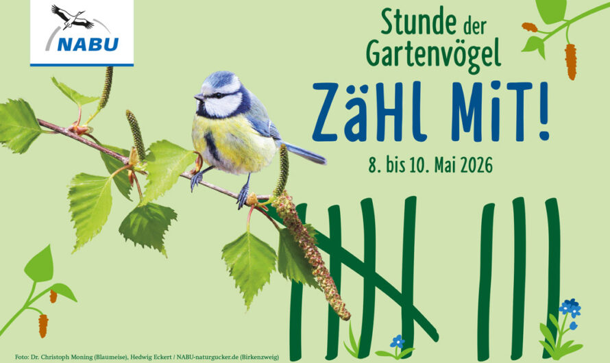 Was singt und flattert da in meinem Garten?