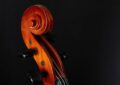 Die Schneckes eines Cellos vor dunklem Hintergrund https://pixabay.com/de/users/heungsoon-4523762/