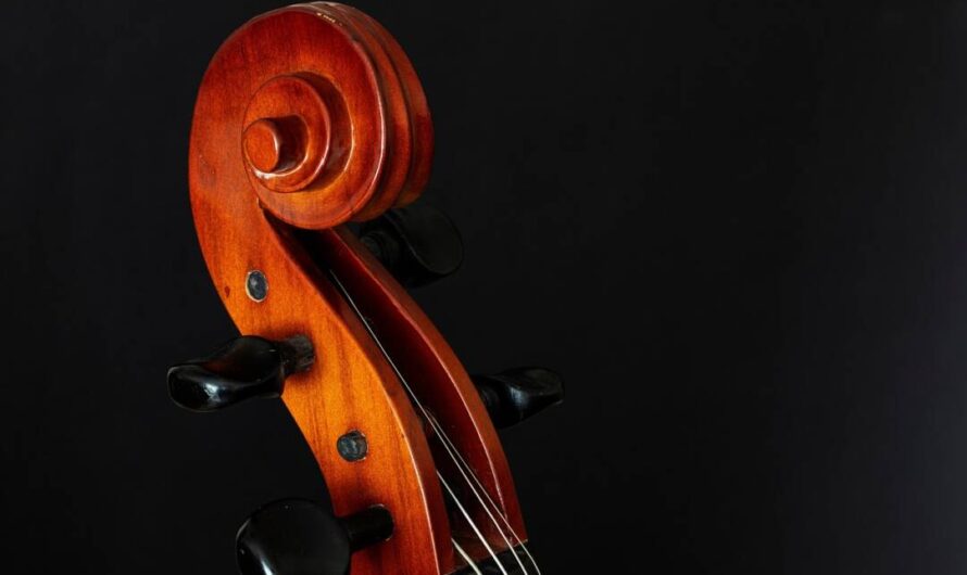 Musikalischer Juni im Malteser Campus Wilhelmsburg