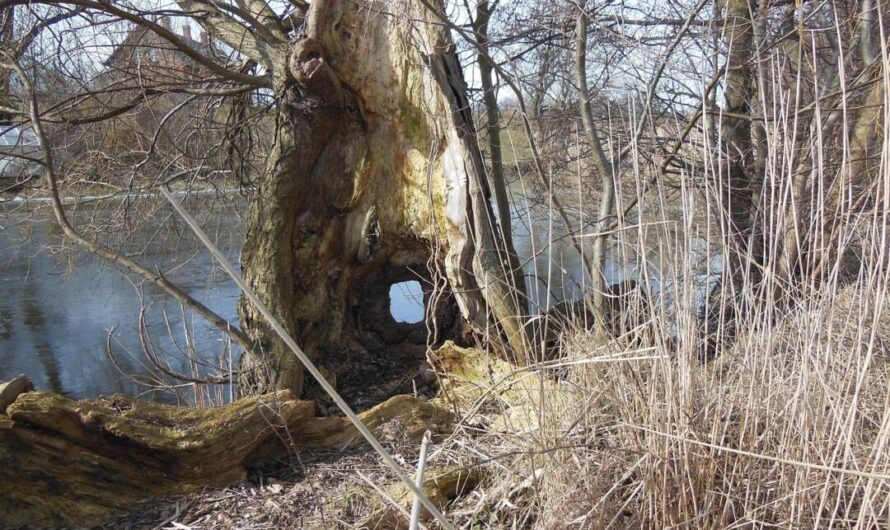 Trockene Gewässer melden