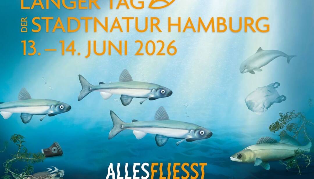 SpieleUniversum: Wir bauen eine Unterwasser Lupe