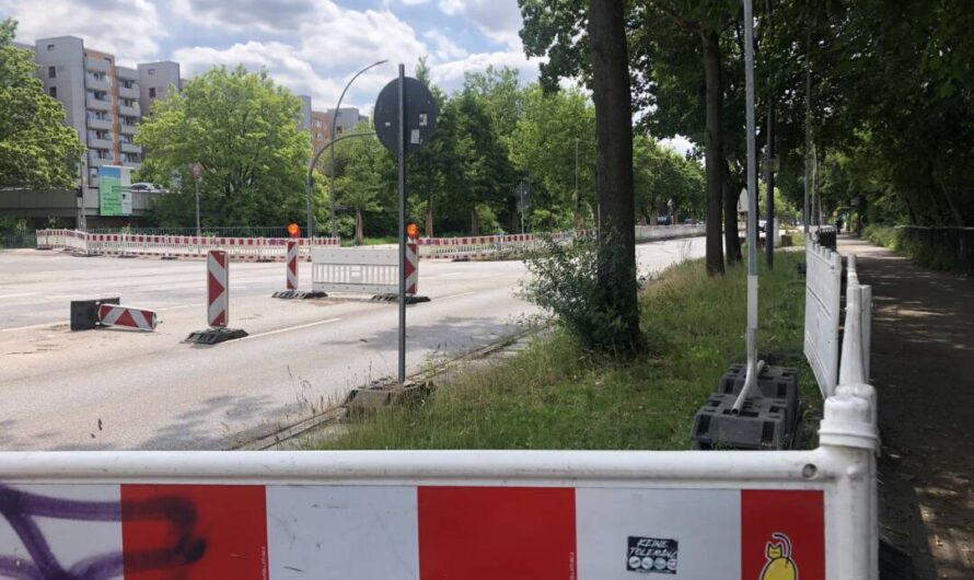 Rot-weiße Schönheiten