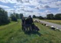 Auf dem grünen Deich eine Familien mit Hunden und rechts hiner dem Deich viele Schafe.