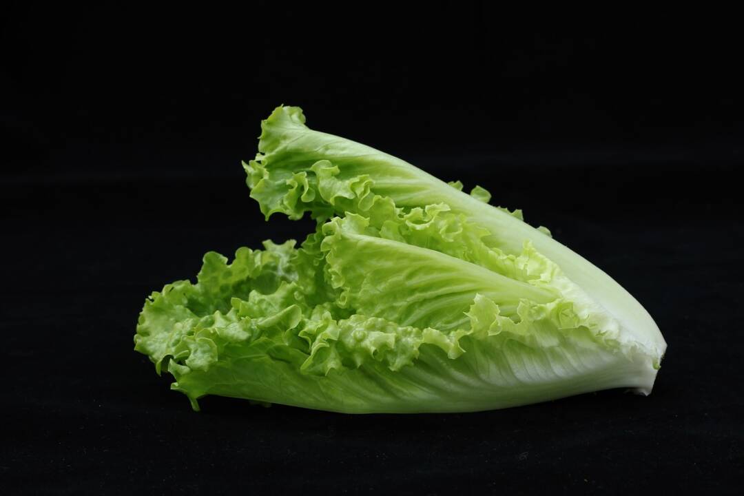 KRISENHERD #1. (Caesars Salad mit Metin Hakverdi)