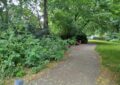 Ein Weg durch eine Parkanlage. Links Büsche, rechts eine Wiese. Darüber alte Bäume. Links am Weg stehen drei Bänke, und eine Mülltonne.