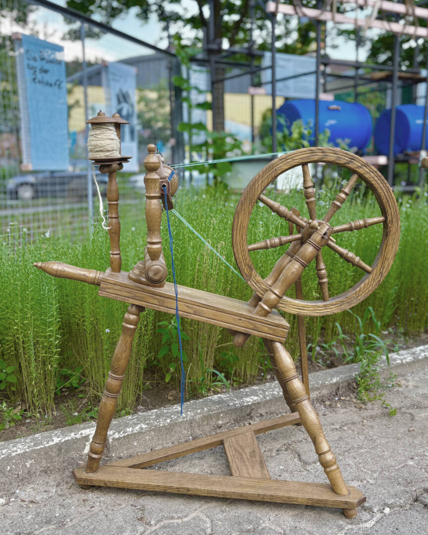 Spinnen am Feld in den Zinnwerken