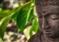 Im Anschnitt: Gesicht einer Budha-Statue vor unscharf grün-grauem Hintergrund. Foto: PatricioYoga auf Pixabay