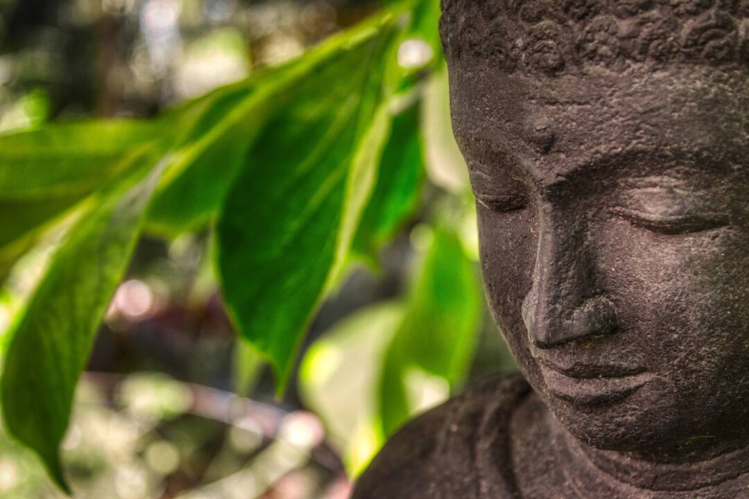 SenKultur Ü60: Qi Gong im Sitzen
