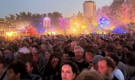Festivalbesucher Dockville
