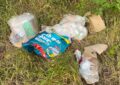Drei große Tüten mit Hausmüll (in einer Tüte viele Einwegwindeln) und einige Pappkartons liegen im Gras am Straßenrand der industriestraße.