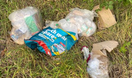 Drei große Tüten mit Hausmüll (in einer Tüte viele Einwegwindeln) und einige Pappkartons liegen im Gras am Straßenrand der industriestraße.