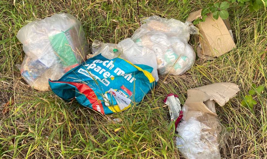 Littering im Sommerloch