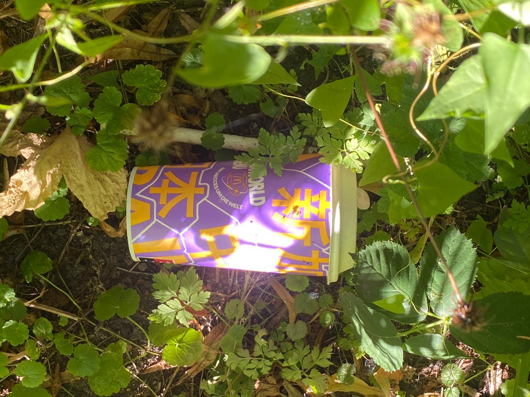 In einem Grünstreifen mit ganz unterschiedlichen Wildpflanzen liegt ein lila Mc-Donalds-Trinkbecher mit weißem Plastikdeckel.