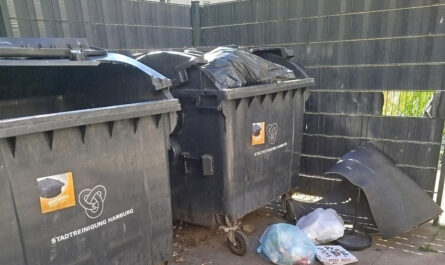 In einer leicht verwahrlost wirkenden umzäunung stehen zwei schwarze Müllcontainer. Einer ist voll. Davor liegt weiterere Müll. Der 2. ist nicht voll, man sieht keinen Müll im Inneren.