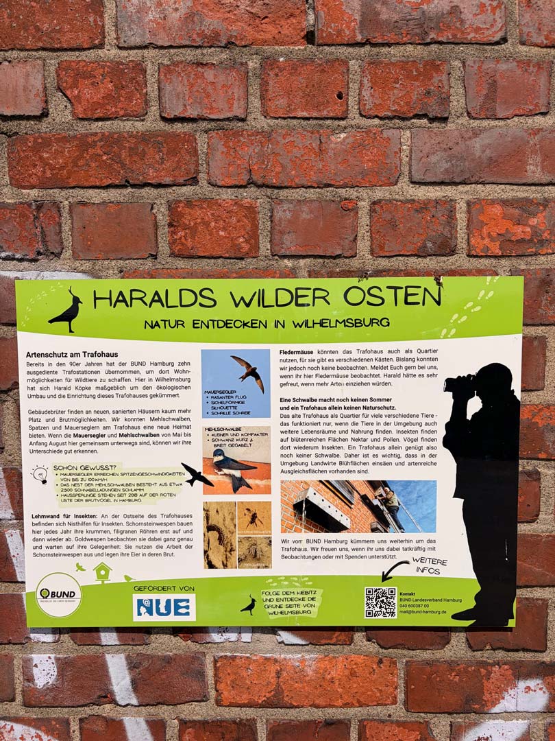 An einer Backsteinwand (Trafohaus) hängt eine Infotafel zu Schwalben. Headline Haralds Wilder Osten, Natur entdecken in Wilhelmsburg.