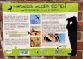 An einer Backsteinwand (Trafohaus) hängt eine Infotafel zu Schwalben. Headline Haralds Wilder Osten, Natur entdecken in Wilhelmsburg.
