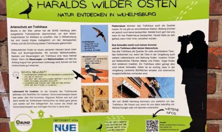 An einer Backsteinwand (Trafohaus) hängt eine Infotafel zu Schwalben. Headline Haralds Wilder Osten, Natur entdecken in Wilhelmsburg.