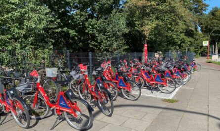 vor großen grünen Bäumen und einem Zaun stehen eine ganze Reihe Stadträder