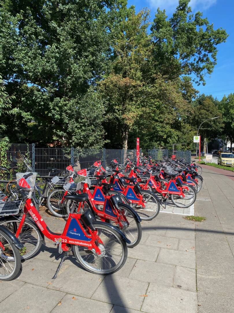 Vor großen grünen Bäumen und einem Zaun stehen viele rote Fahrräder