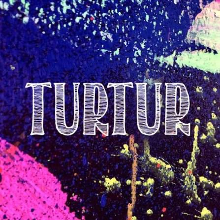 BACK TO THE TURTUR