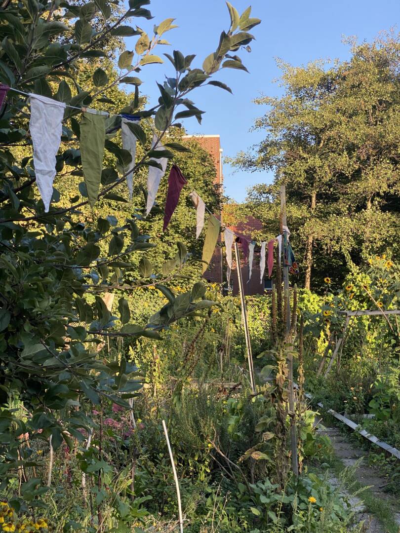 Blick über die Beete und Wege des Interkulturellen Gartens. Alle Pflanzen wuchern, dazwischen eine Wimpelkette aus Stoff. Sonnenbeschienen.