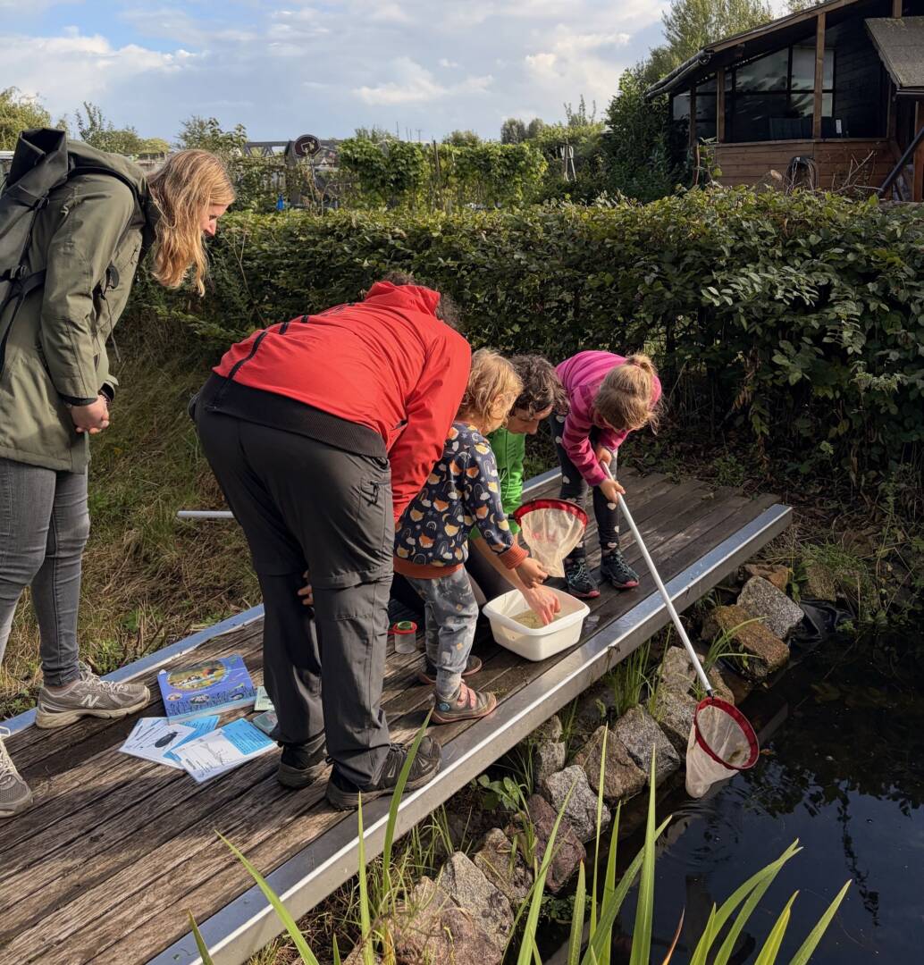 auf einem Steg an einem vermutlich kleinen Gewässer stehen zwei Erwachsene und 3 Kinder. Die Kinder haben Kescher und Scüsseln mit Wasser. Sie sind Konzentreiert auf das, was sie in den Händen und der Schüssel haben.